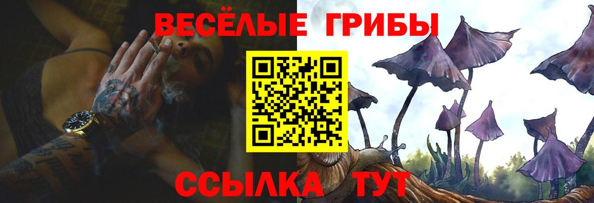 Галлюциногенные грибы Magic Shrooms Удомля